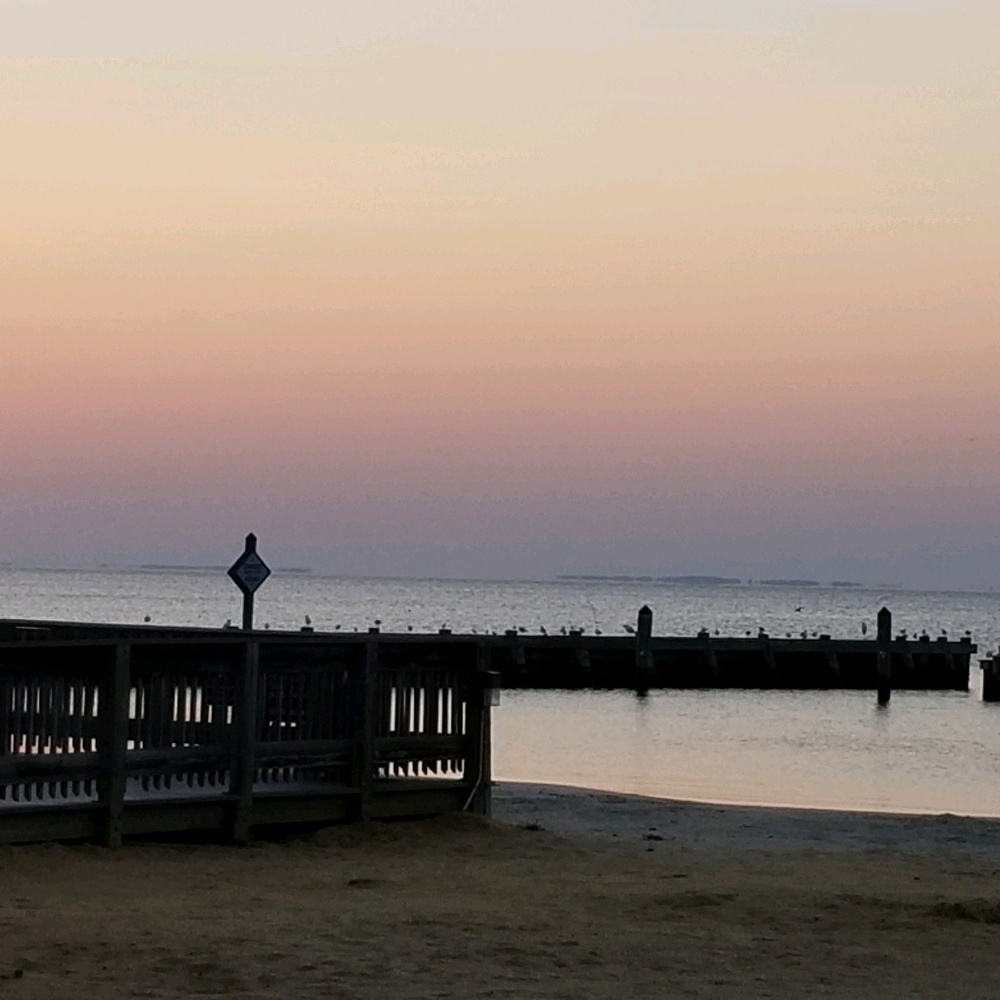 Meet your Posher, Cynthia